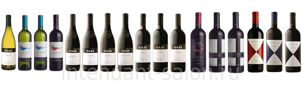 gaja wines