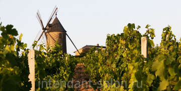 22678-650x330-autre-chateau-du-moulin-a-vent-moulin-a-vent